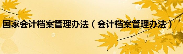 国家会计档案管理办法（会计档案管理办法）