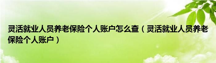 灵活就业人员养老保险个人账户怎么查（灵活就业人员养老保险个人账户）