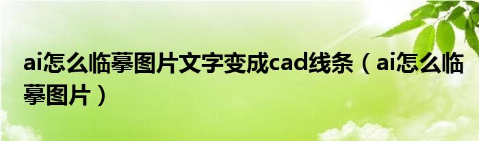 ai怎么临摹图片文字变成cad线条（ai怎么临摹图片）