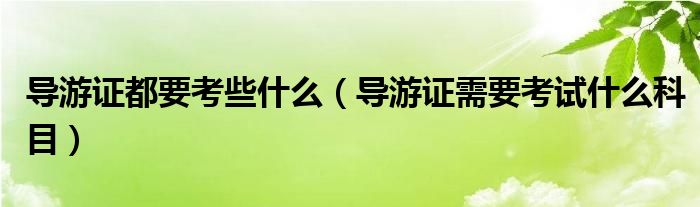 导游证都要考些什么（导游证需要考试什么科目）