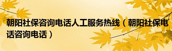 朝阳社保咨询电话人工服务热线（朝阳社保电话咨询电话）