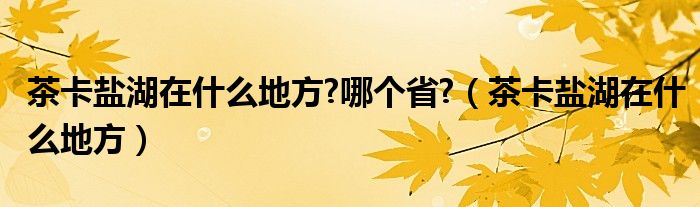 茶卡盐湖在什么地方?哪个省?（茶卡盐湖在什么地方）