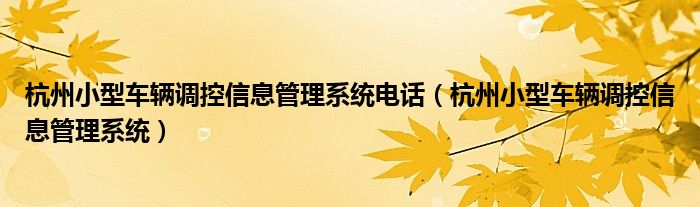 杭州小型车辆调控信息管理系统电话（杭州小型车辆调控信息管理系统）