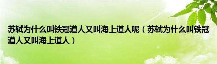 苏轼为什么叫铁冠道人又叫海上道人呢（苏轼为什么叫铁冠道人又叫海上道人）