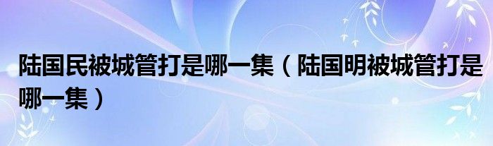 陆国民被城管打是哪一集（陆国明被城管打是哪一集）