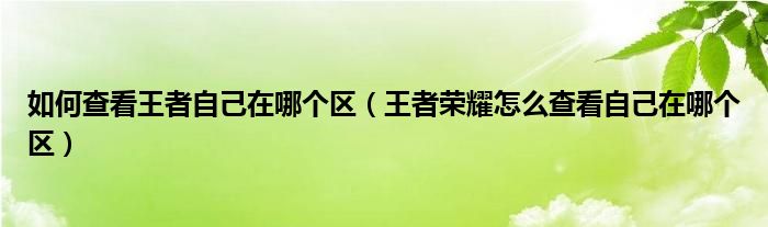 如何查看王者自己在哪个区（王者荣耀怎么查看自己在哪个区）