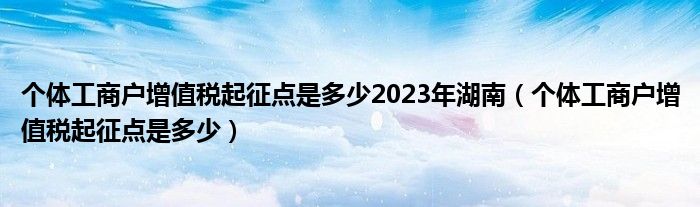 个体工商户增值税起征点是多少2023年湖南（个体工商户增值税起征点是多少）