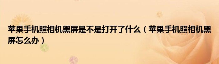 苹果手机照相机黑屏是不是打开了什么（苹果手机照相机黑屏怎么办）