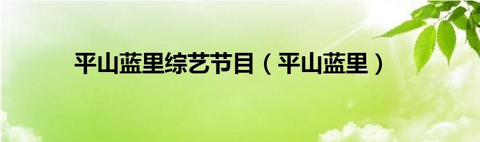 平山蓝里综艺节目（平山蓝里）