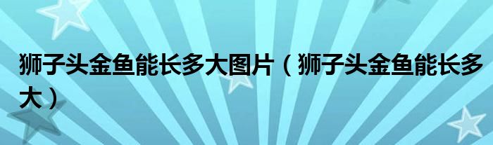 狮子头金鱼能长多大图片（狮子头金鱼能长多大）