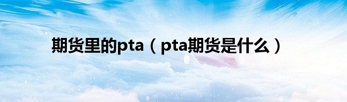 期货里的pta（pta期货是什么）