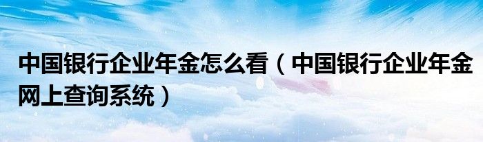 中国银行企业年金怎么看（中国银行企业年金网上查询系统）