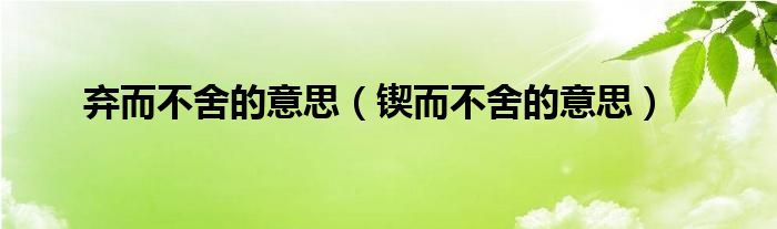 弃而不舍的意思（锲而不舍的意思）