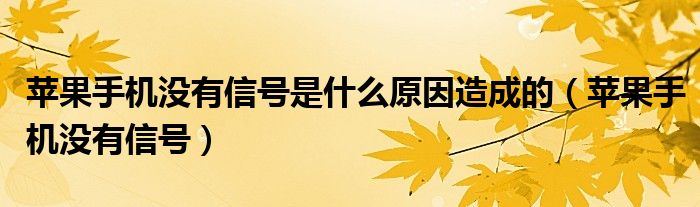 苹果手机没有信号是什么原因造成的（苹果手机没有信号）