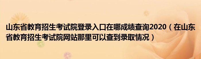 山东省教育招生考试院登录入口在哪成绩查询2020（在山东省教育招生考试院网站那里可以查到录取情况）