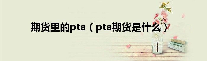 期货里的pta（pta期货是什么）