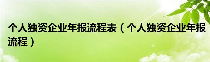 个人独资企业年报流程表（个人独资企业年报流程）