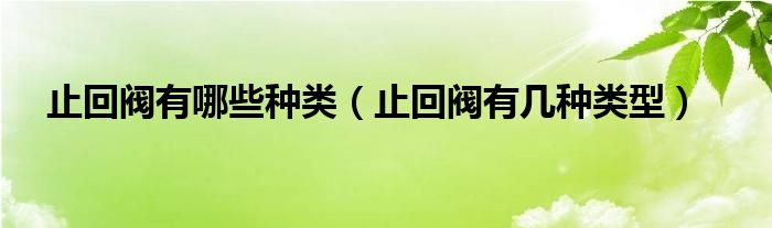 止回阀有哪些种类（止回阀有几种类型）