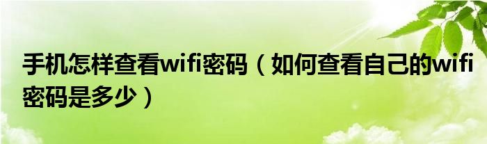 手机怎样查看wifi密码（如何查看自己的wifi密码是多少）