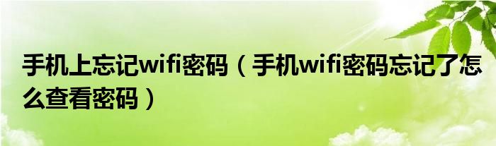 手机上忘记wifi密码（手机wifi密码忘记了怎么查看密码）