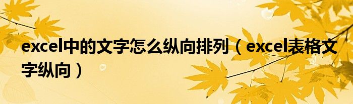 excel中的文字怎么纵向排列（excel表格文字纵向）