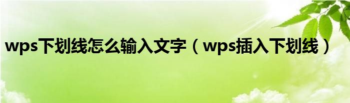 wps下划线怎么输入文字（wps插入下划线）