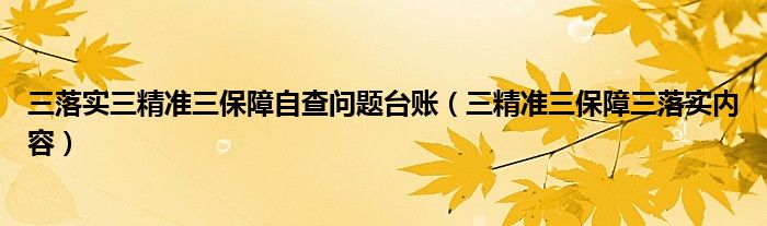 三落实三精准三保障自查问题台账（三精准三保障三落实内容）