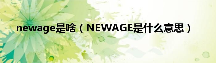 newage是啥（NEWAGE是什么意思）