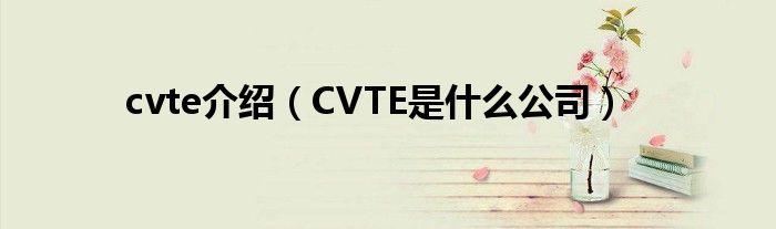 cvte介绍（CVTE是什么公司）