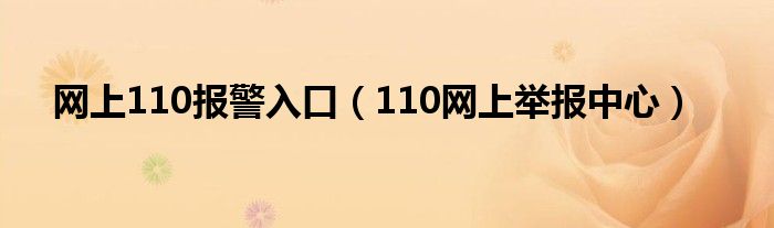 网上110报警入口（110网上举报中心）