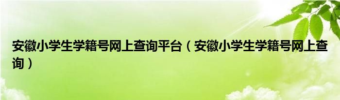 安徽小学生学籍号网上查询平台（安徽小学生学籍号网上查询）