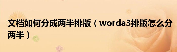 文档如何分成两半排版（worda3排版怎么分两半）