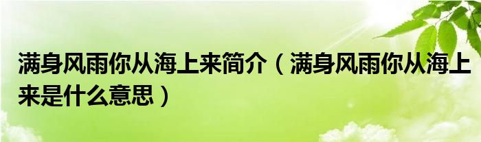 满身风雨你从海上来简介（满身风雨你从海上来是什么意思）