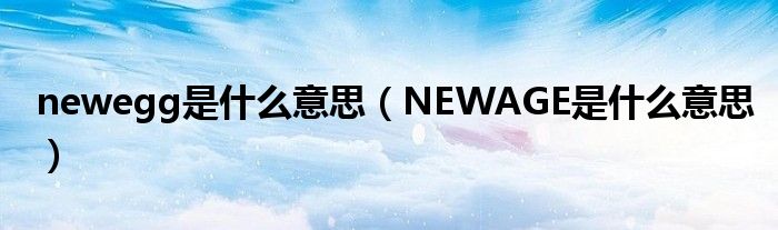 newegg是什么意思（NEWAGE是什么意思）