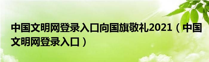 中国文明网登录入口向国旗敬礼2021（中国文明网登录入口）