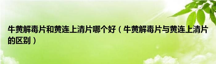 牛黄解毒片和黄连上清片哪个好（牛黄解毒片与黄连上清片的区别）