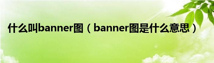 什么叫banner图（banner图是什么意思）