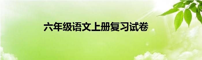 六年级语文上册复习试卷