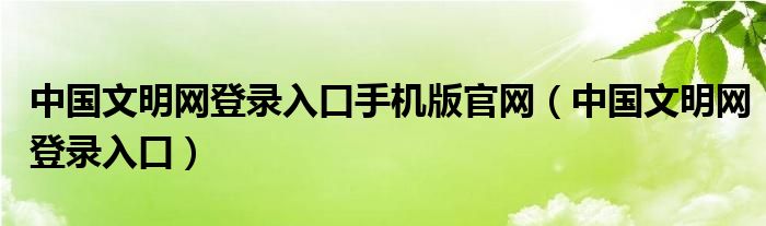 中国文明网登录入口手机版官网（中国文明网登录入口）