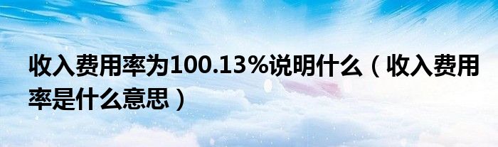 收入费用率为100.13%说明什么（收入费用率是什么意思）