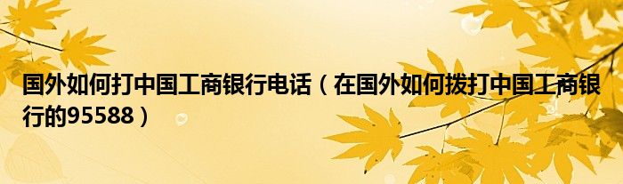 国外如何打中国工商银行电话（在国外如何拨打中国工商银行的95588）