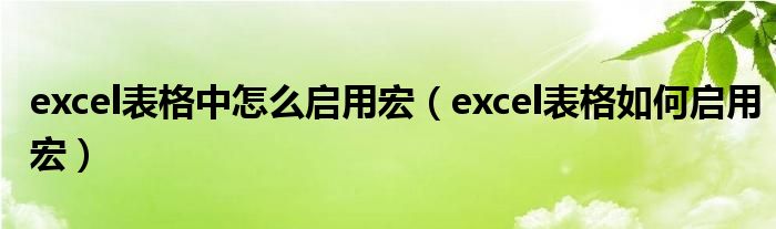 excel表格中怎么启用宏（excel表格如何启用宏）