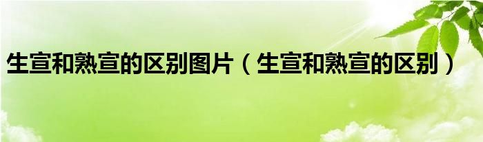 生宣和熟宣的区别图片（生宣和熟宣的区别）