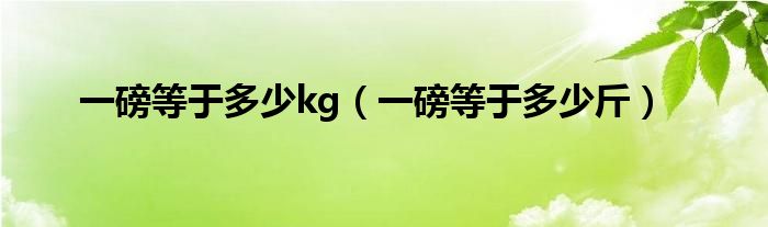 一磅等于多少kg（一磅等于多少斤）