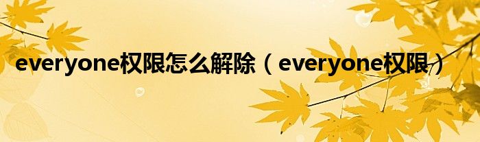 everyone权限怎么解除（everyone权限）