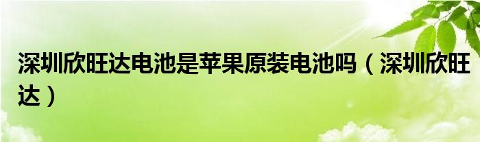 深圳欣旺达电池是苹果原装电池吗（深圳欣旺达）