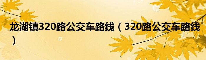 龙湖镇320路公交车路线（320路公交车路线）