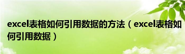 excel表格如何引用数据的方法（excel表格如何引用数据）