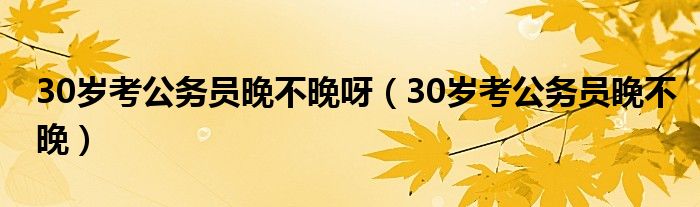 30岁考公务员晚不晚呀（30岁考公务员晚不晚）