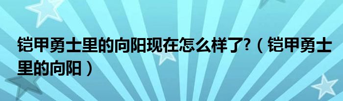 铠甲勇士里的向阳现在怎么样了?（铠甲勇士里的向阳）